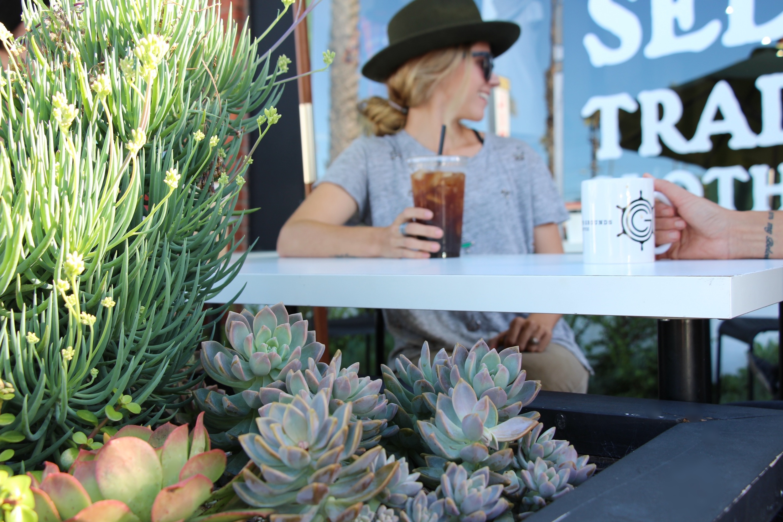 Succulent Garden at Captain's Grounds Coffee in Oceanside, CA